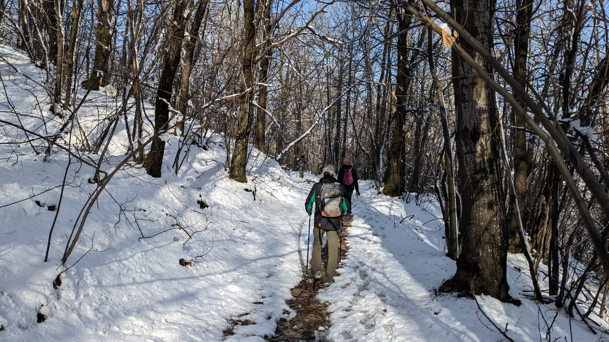 Il cammino in inverno 2025/2026